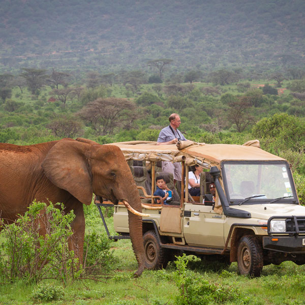 kenya-tanzania-road-safari-fig-1 (1)