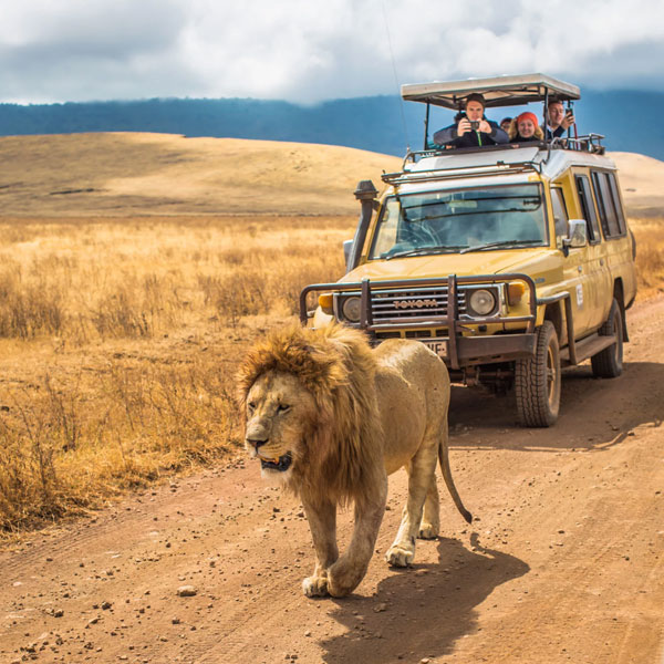 kenya-tanzania-road-safari-fig-4